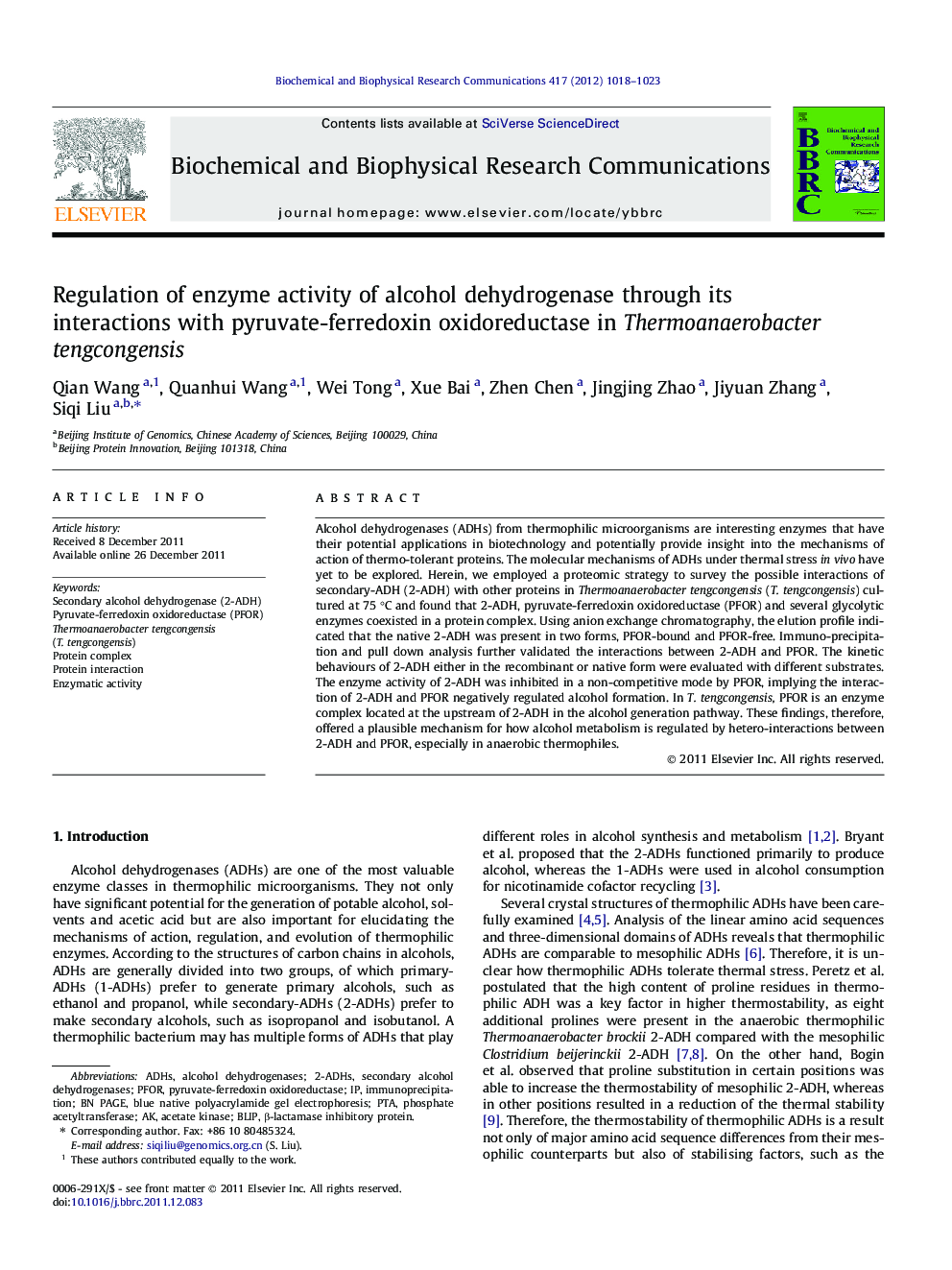 Regulation of enzyme activity of alcohol dehydrogenase through its interactions with pyruvate-ferredoxin oxidoreductase in Thermoanaerobacter tengcongensis