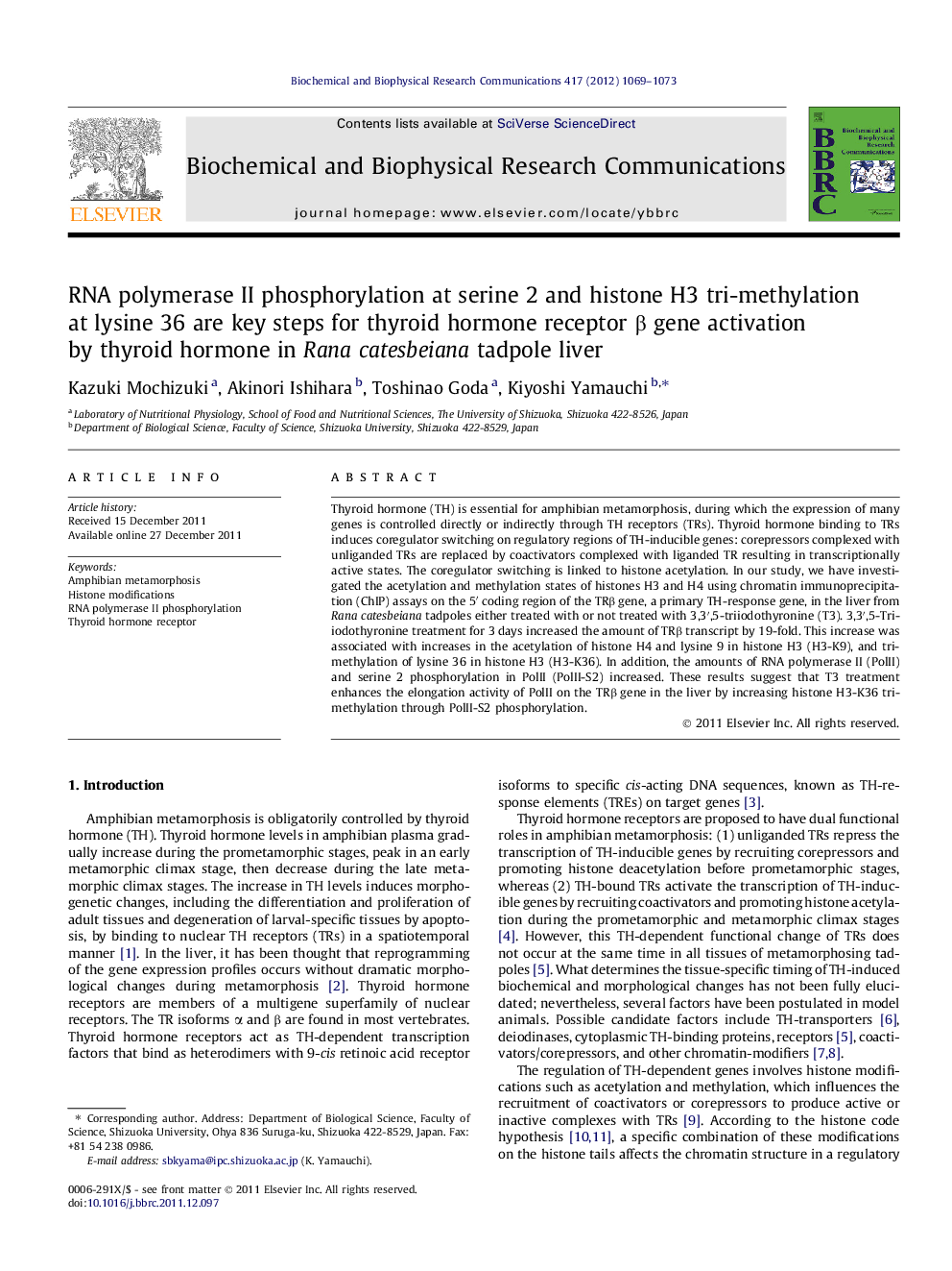 RNA polymerase II phosphorylation at serine 2 and histone H3 tri-methylation at lysine 36 are key steps for thyroid hormone receptor Î² gene activation by thyroid hormone in Rana catesbeiana tadpole liver