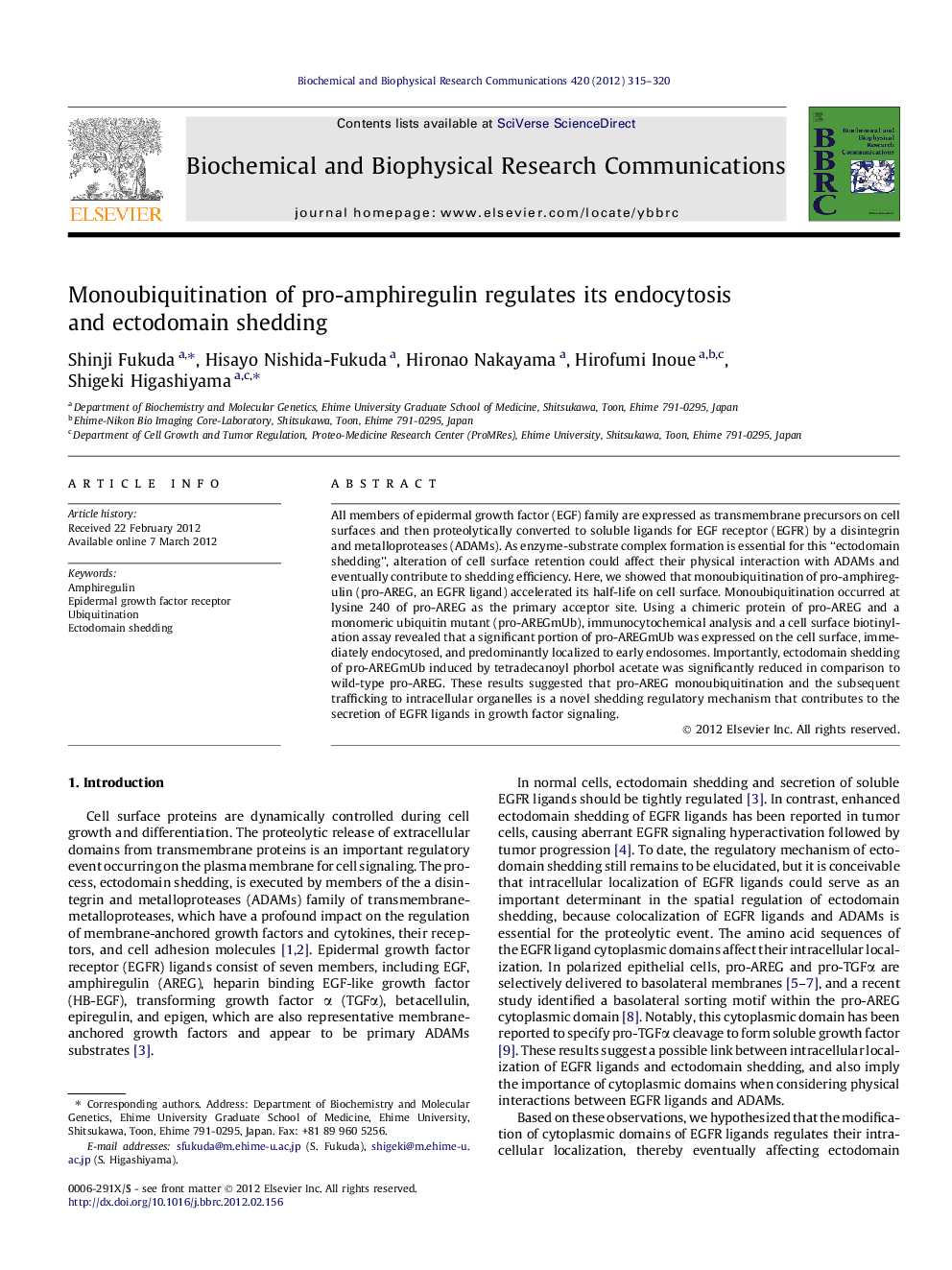 Monoubiquitination of pro-amphiregulin regulates its endocytosis and ectodomain shedding