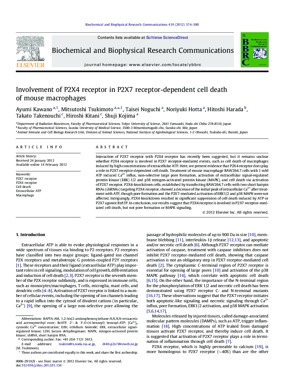 Involvement of P2X4 receptor in P2X7 receptor-dependent cell death of mouse macrophages