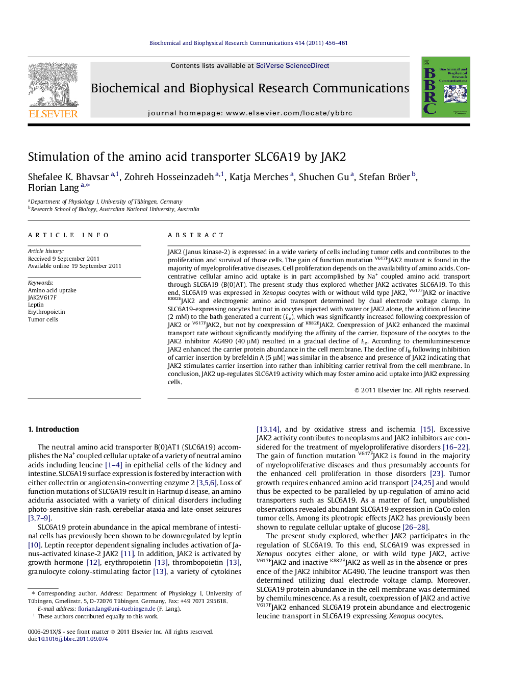 Stimulation of the amino acid transporter SLC6A19 by JAK2