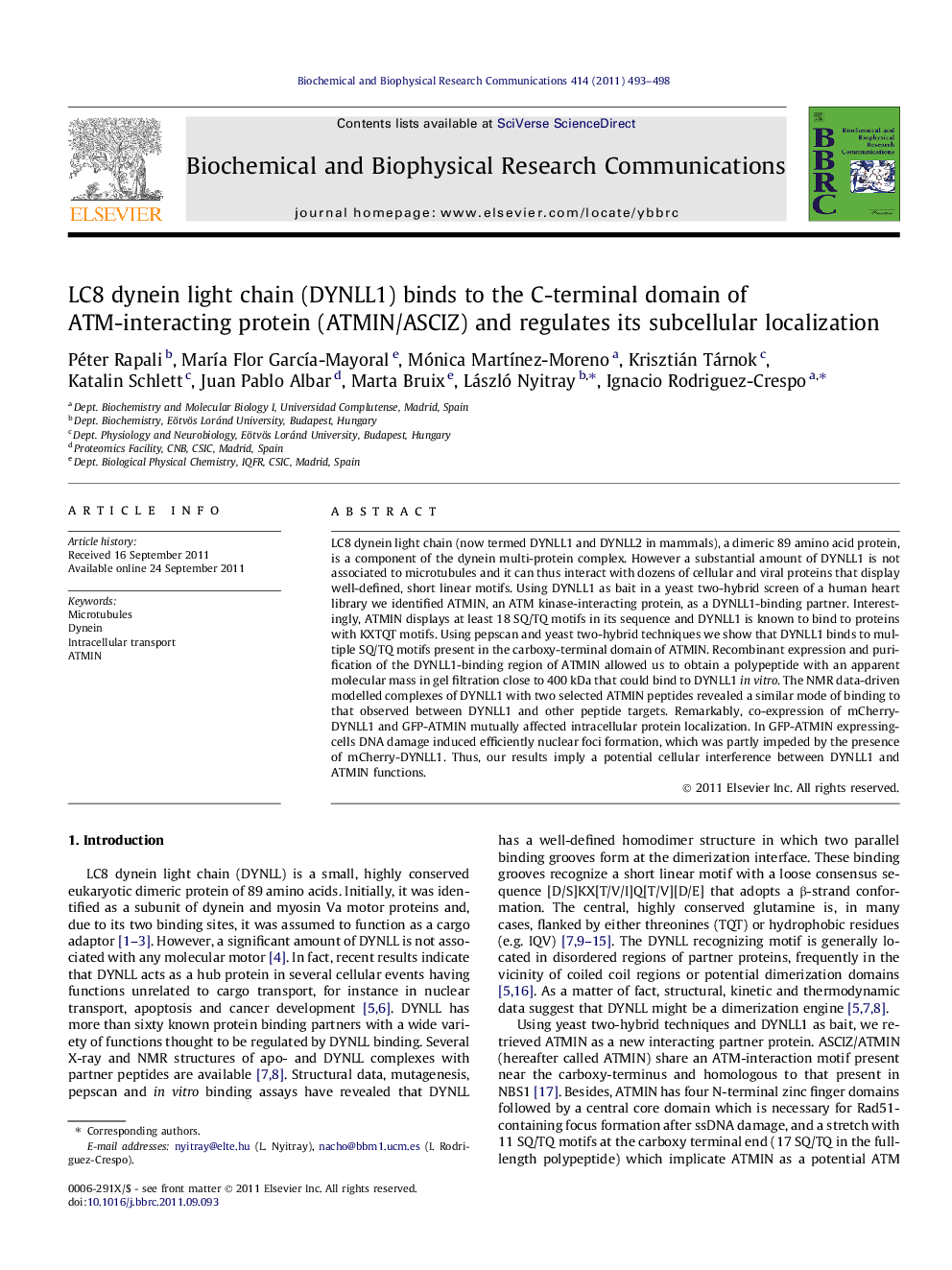 LC8 dynein light chain (DYNLL1) binds to the C-terminal domain of ATM-interacting protein (ATMIN/ASCIZ) and regulates its subcellular localization