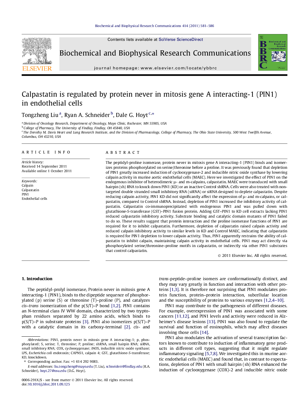 Calpastatin is regulated by protein never in mitosis gene A interacting-1 (PIN1) in endothelial cells