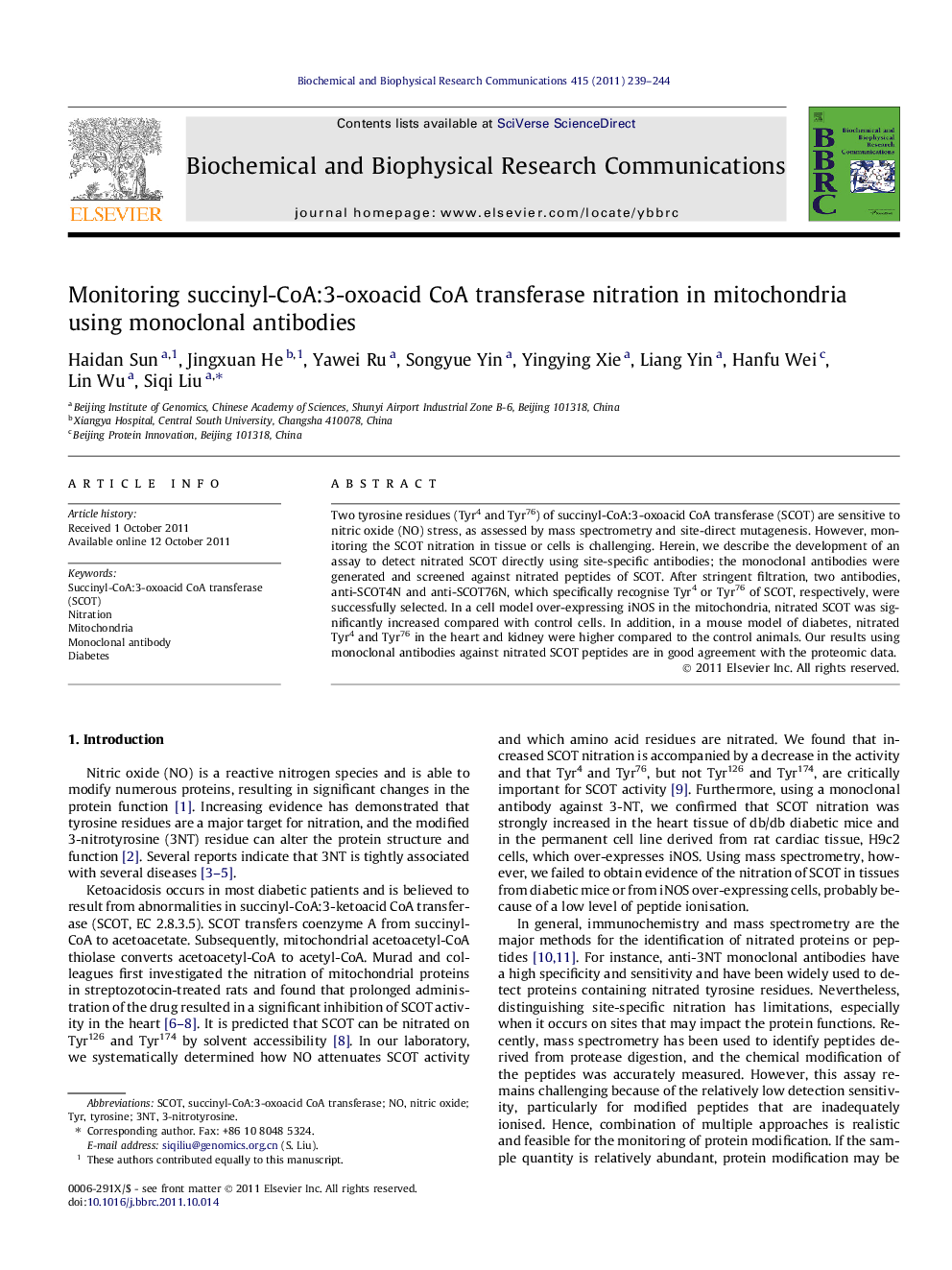 Monitoring succinyl-CoA:3-oxoacid CoA transferase nitration in mitochondria using monoclonal antibodies