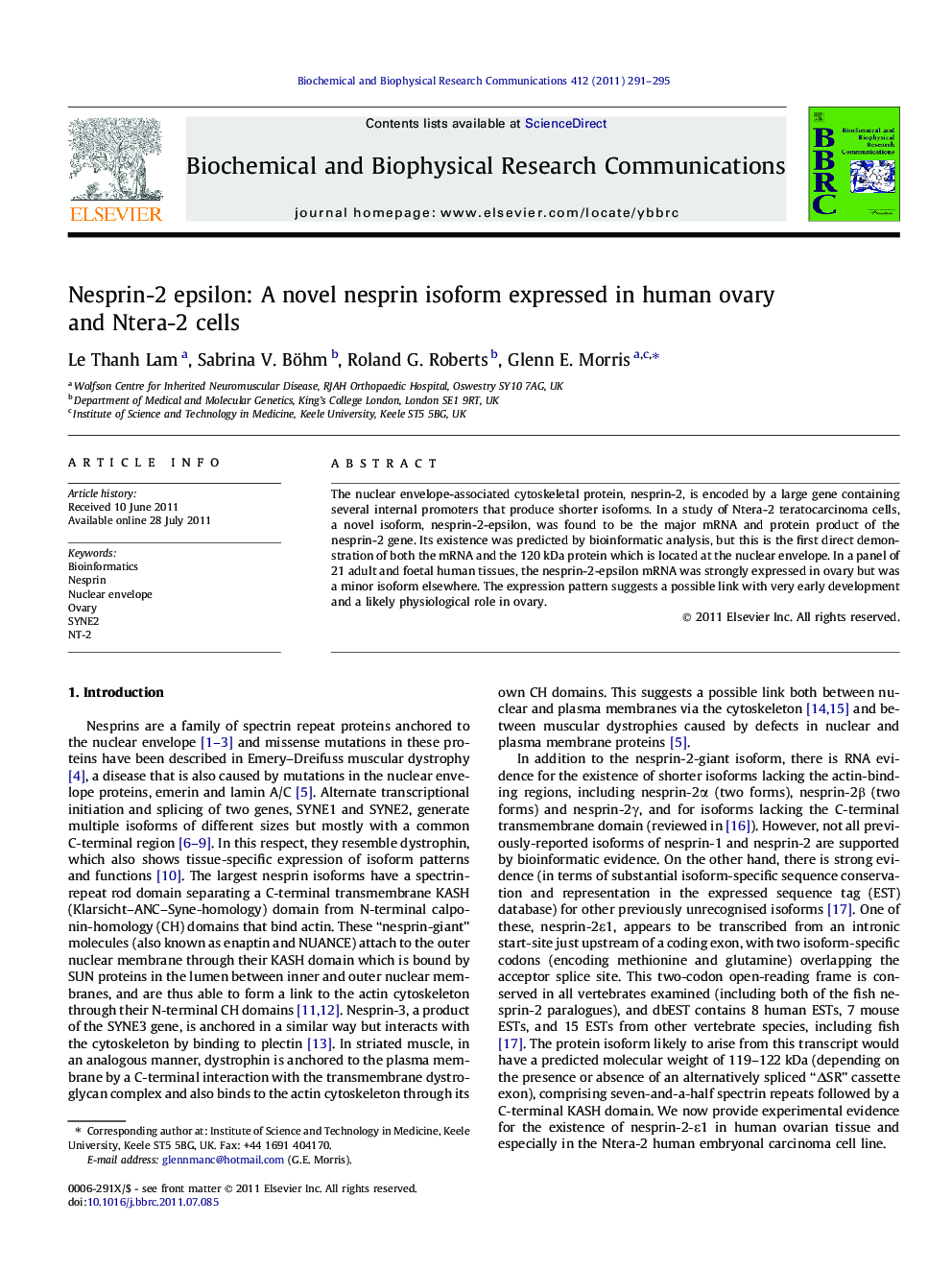 Nesprin-2 epsilon: A novel nesprin isoform expressed in human ovary and Ntera-2 cells