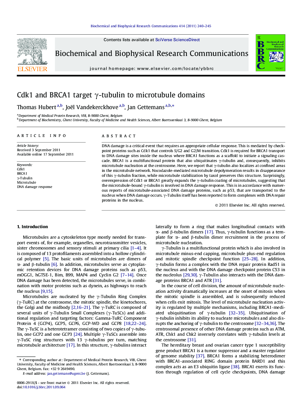 Cdk1 and BRCA1 target Î³-tubulin to microtubule domains