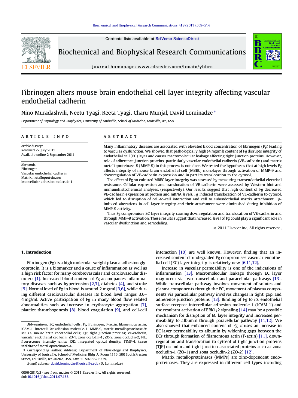 Fibrinogen alters mouse brain endothelial cell layer integrity affecting vascular endothelial cadherin