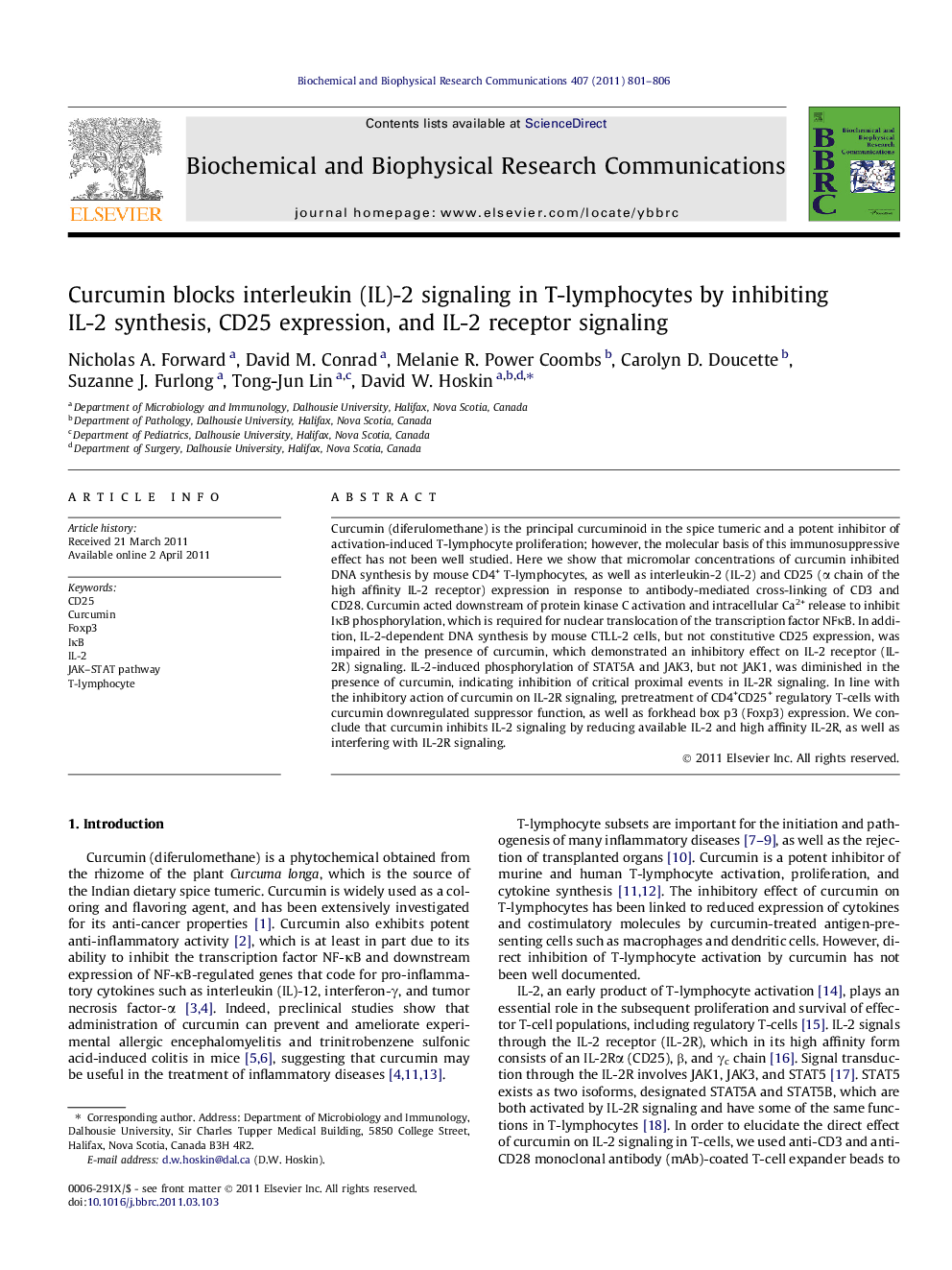 Curcumin blocks interleukin (IL)-2 signaling in T-lymphocytes by inhibiting IL-2 synthesis, CD25 expression, and IL-2 receptor signaling