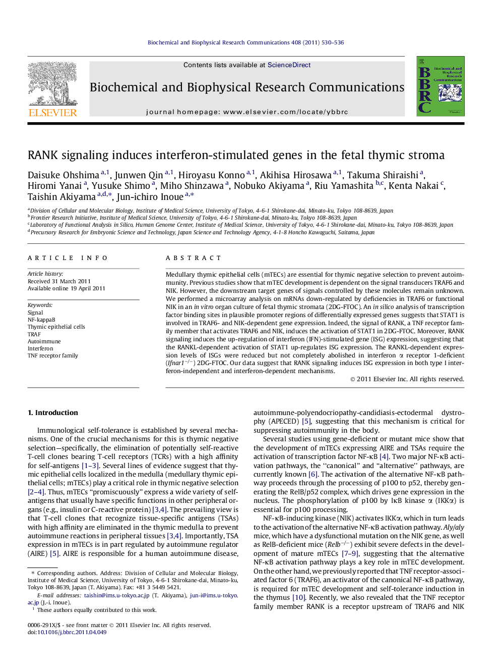 RANK signaling induces interferon-stimulated genes in the fetal thymic stroma