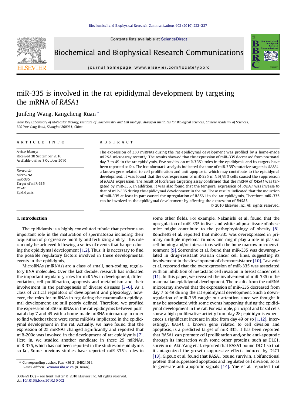 miR-335 is involved in the rat epididymal development by targeting the mRNA of RASA1