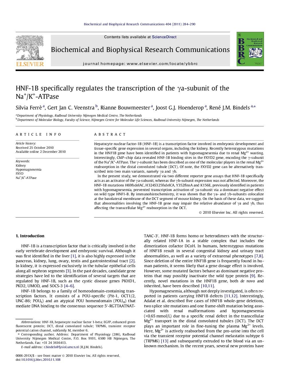 HNF-1B specifically regulates the transcription of the Î³a-subunit of the Na+/K+-ATPase