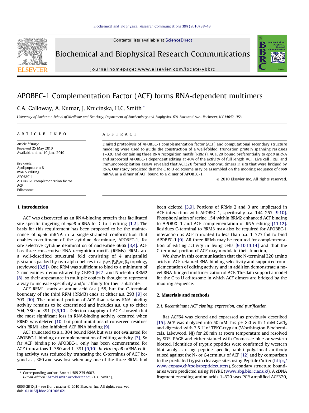 APOBEC-1 complementation factor (ACF) forms RNA-dependent multimers