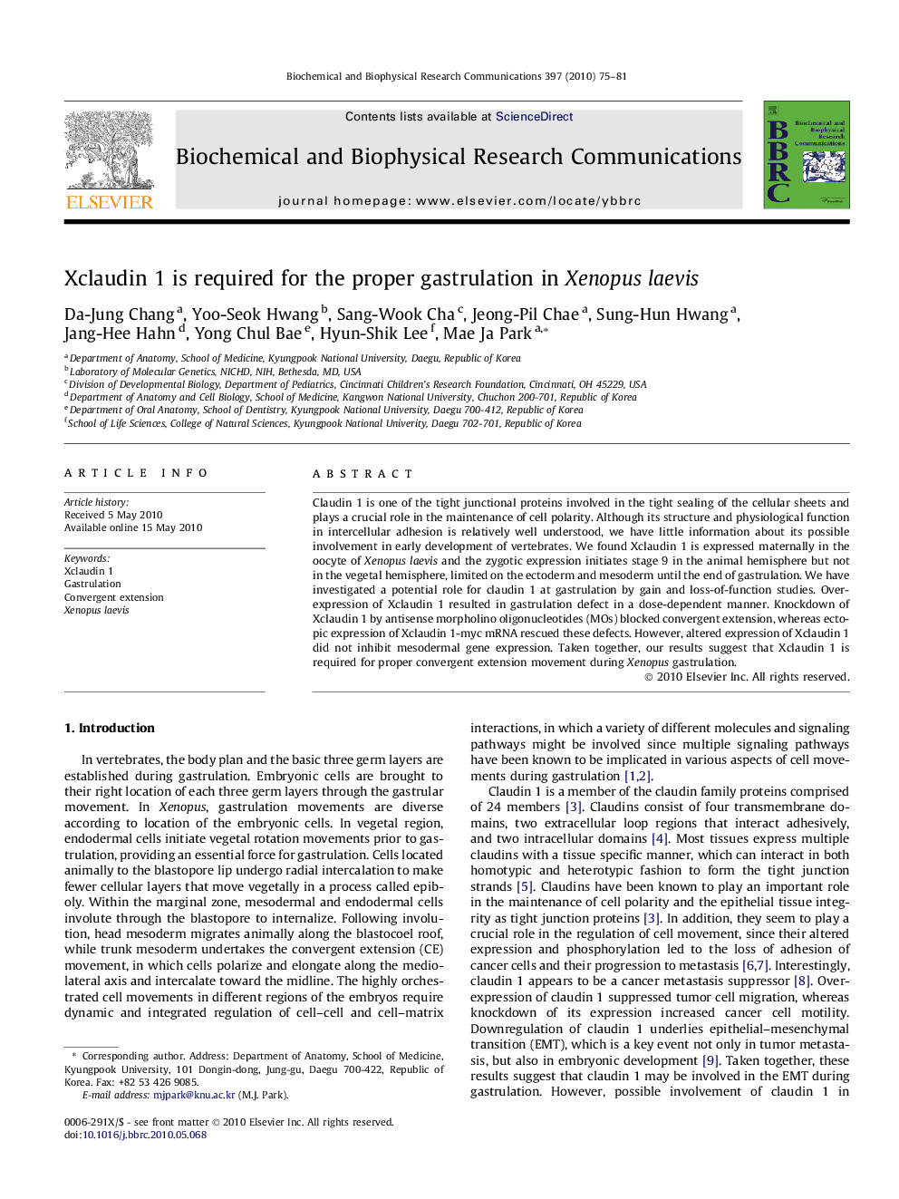 Xclaudin 1 is required for the proper gastrulation in Xenopus laevis