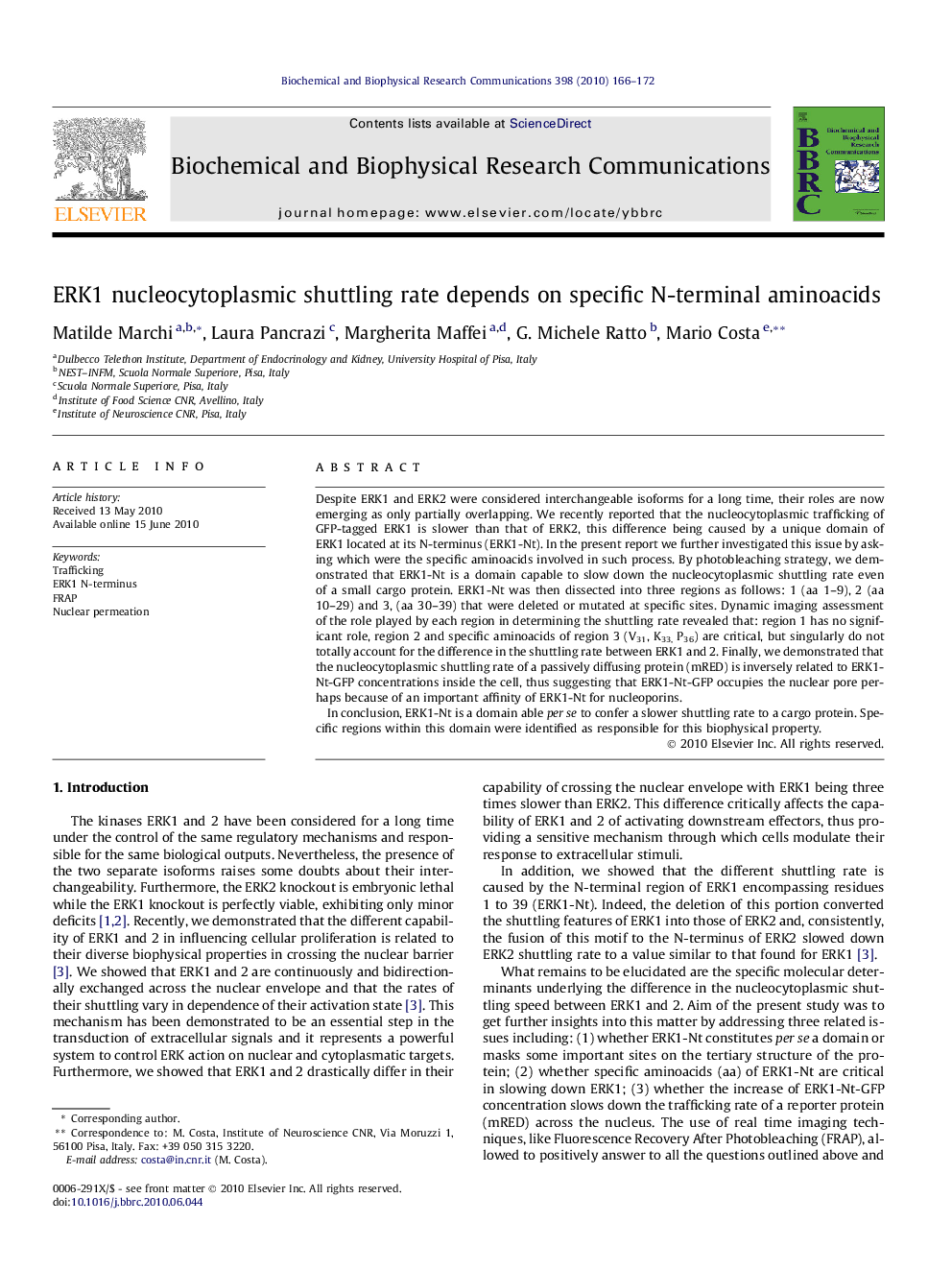 ERK1 nucleocytoplasmic shuttling rate depends on specific N-terminal aminoacids