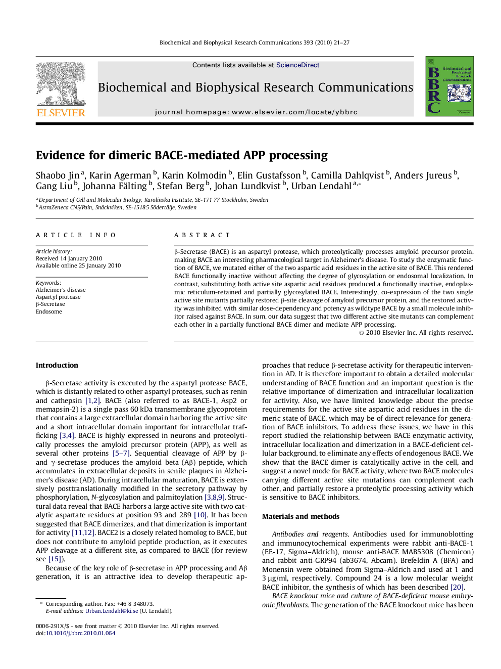 Evidence for dimeric BACE-mediated APP processing