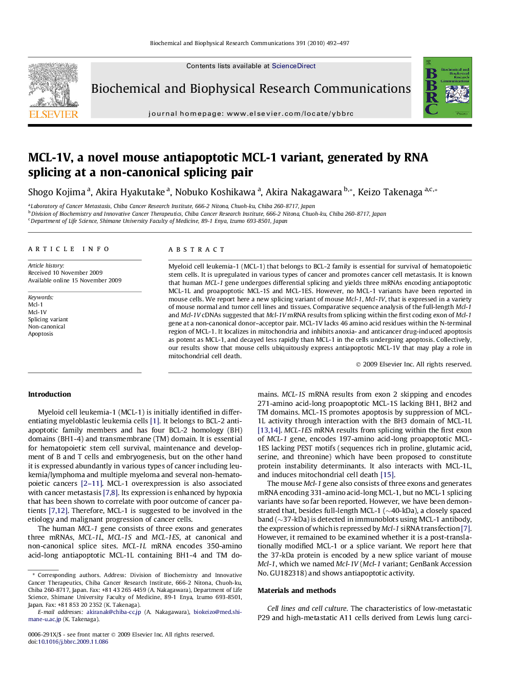 MCL-1V, a novel mouse antiapoptotic MCL-1 variant, generated by RNA splicing at a non-canonical splicing pair