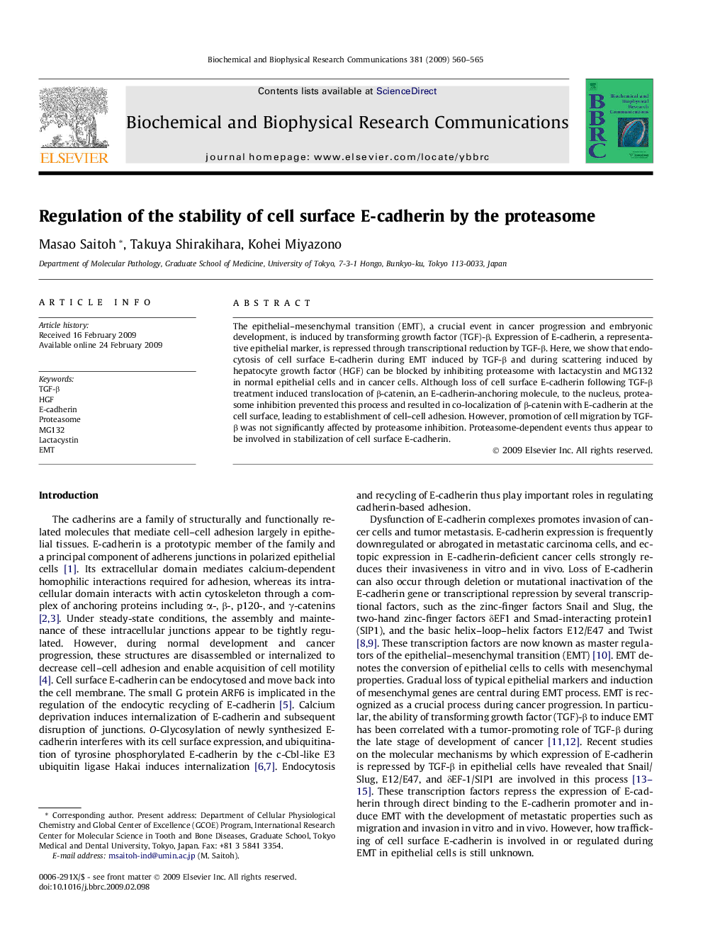 Regulation of the stability of cell surface E-cadherin by the proteasome