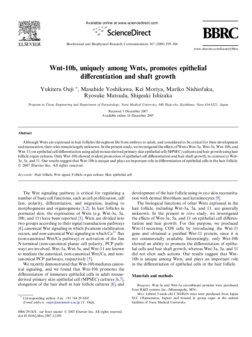 Wnt-10b, uniquely among Wnts, promotes epithelial differentiation and shaft growth