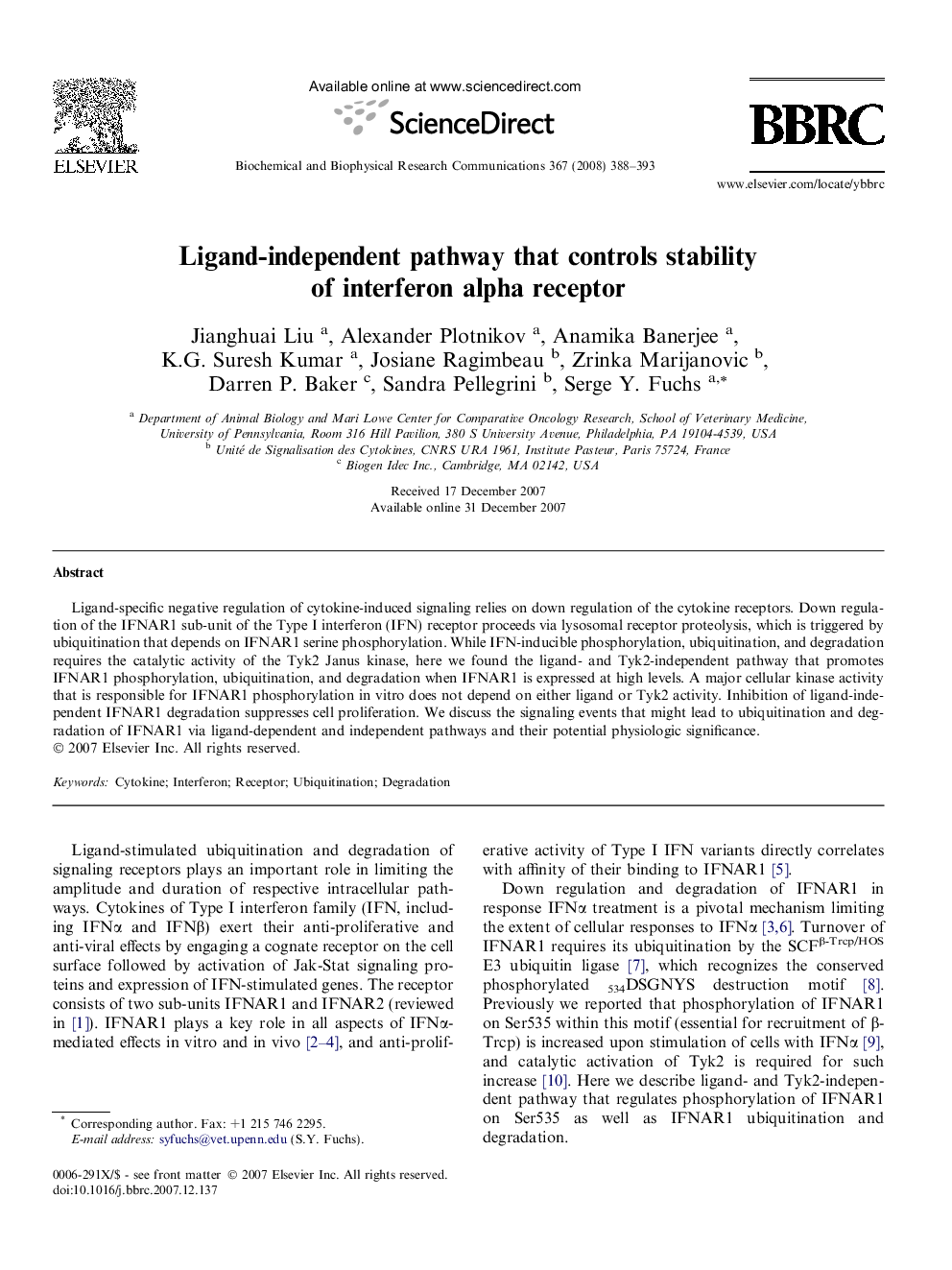 Ligand-independent pathway that controls stability of interferon alpha receptor