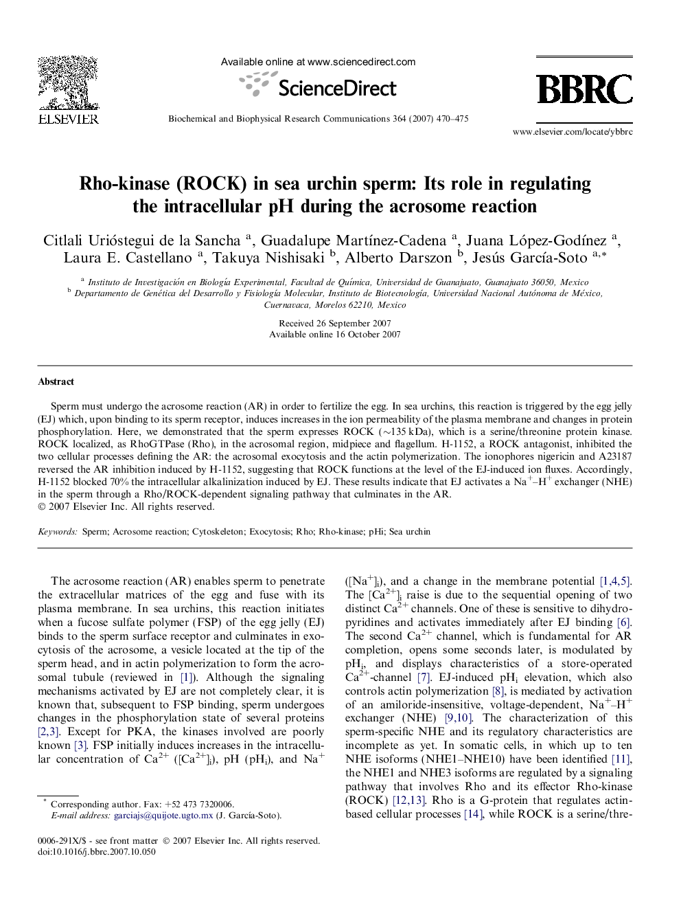 Rho-kinase (ROCK) in sea urchin sperm: Its role in regulating the intracellular pH during the acrosome reaction