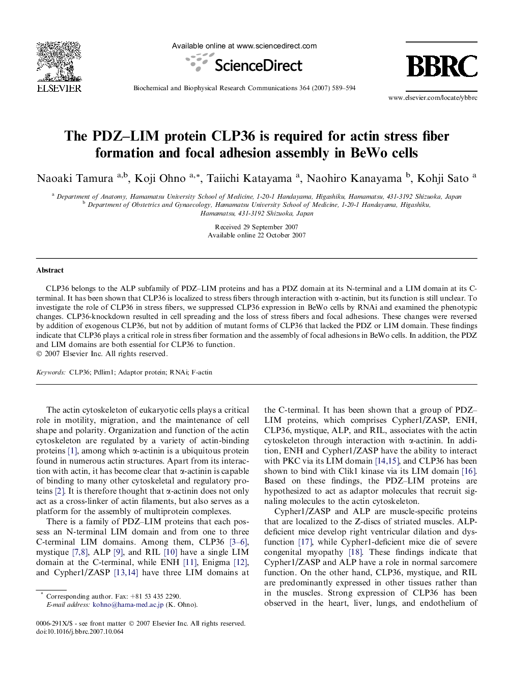 The PDZ-LIM protein CLP36 is required for actin stress fiber formation and focal adhesion assembly in BeWo cells