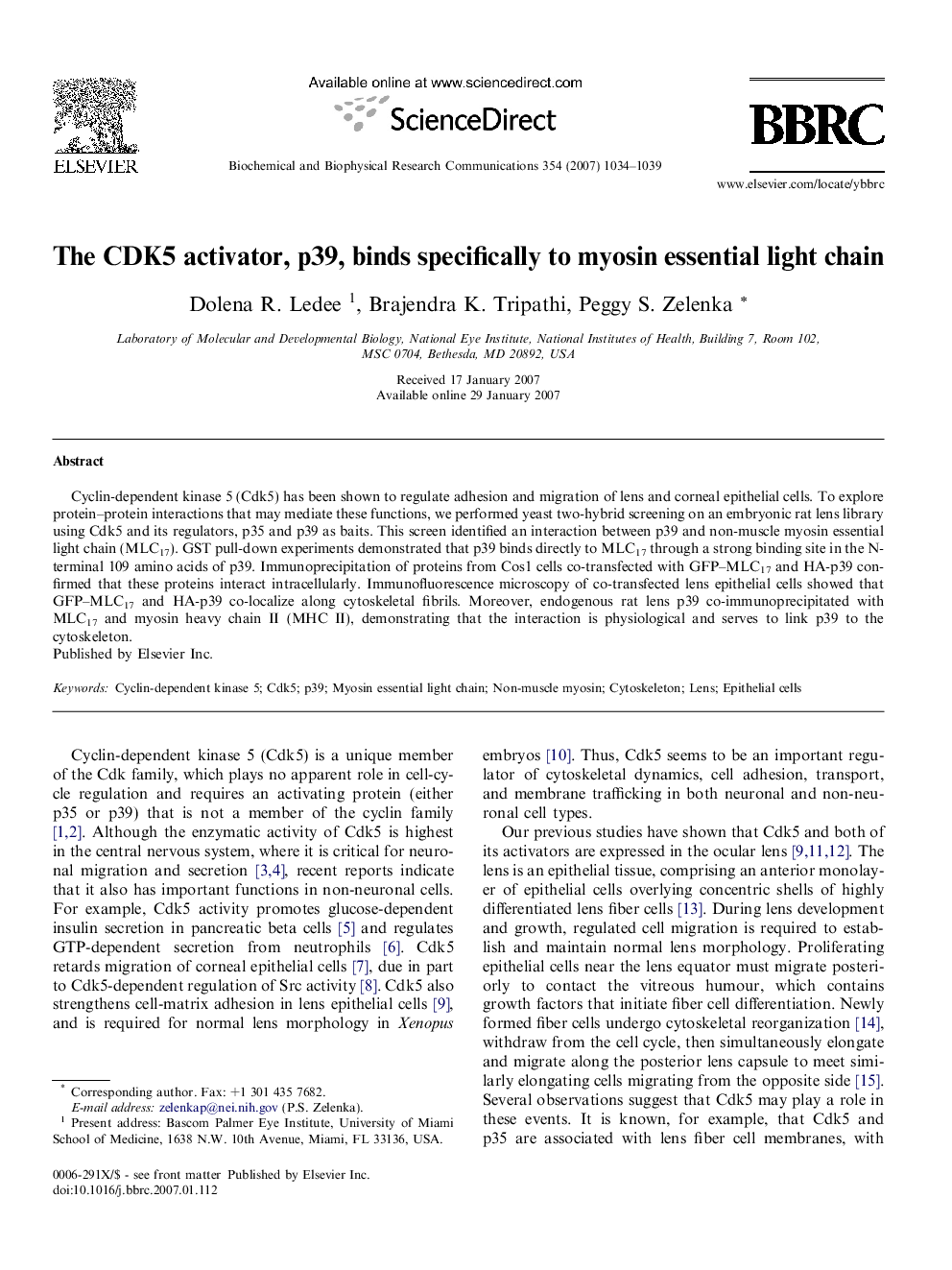 The CDK5 activator, p39, binds specifically to myosin essential light chain