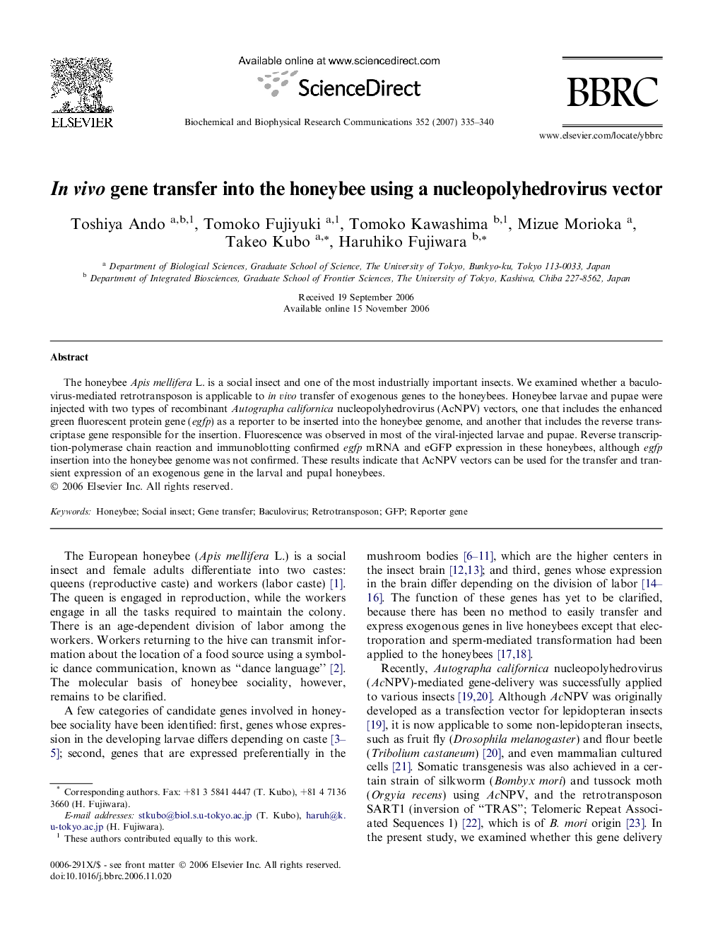 In vivo gene transfer into the honeybee using a nucleopolyhedrovirus vector