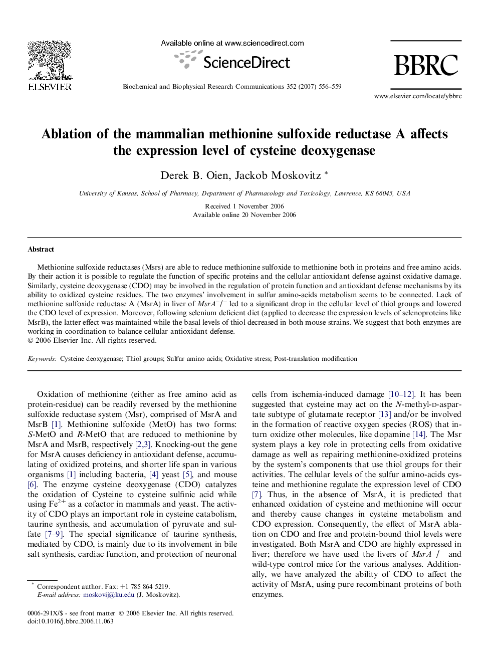 Ablation of the mammalian methionine sulfoxide reductase A affects the expression level of cysteine deoxygenase