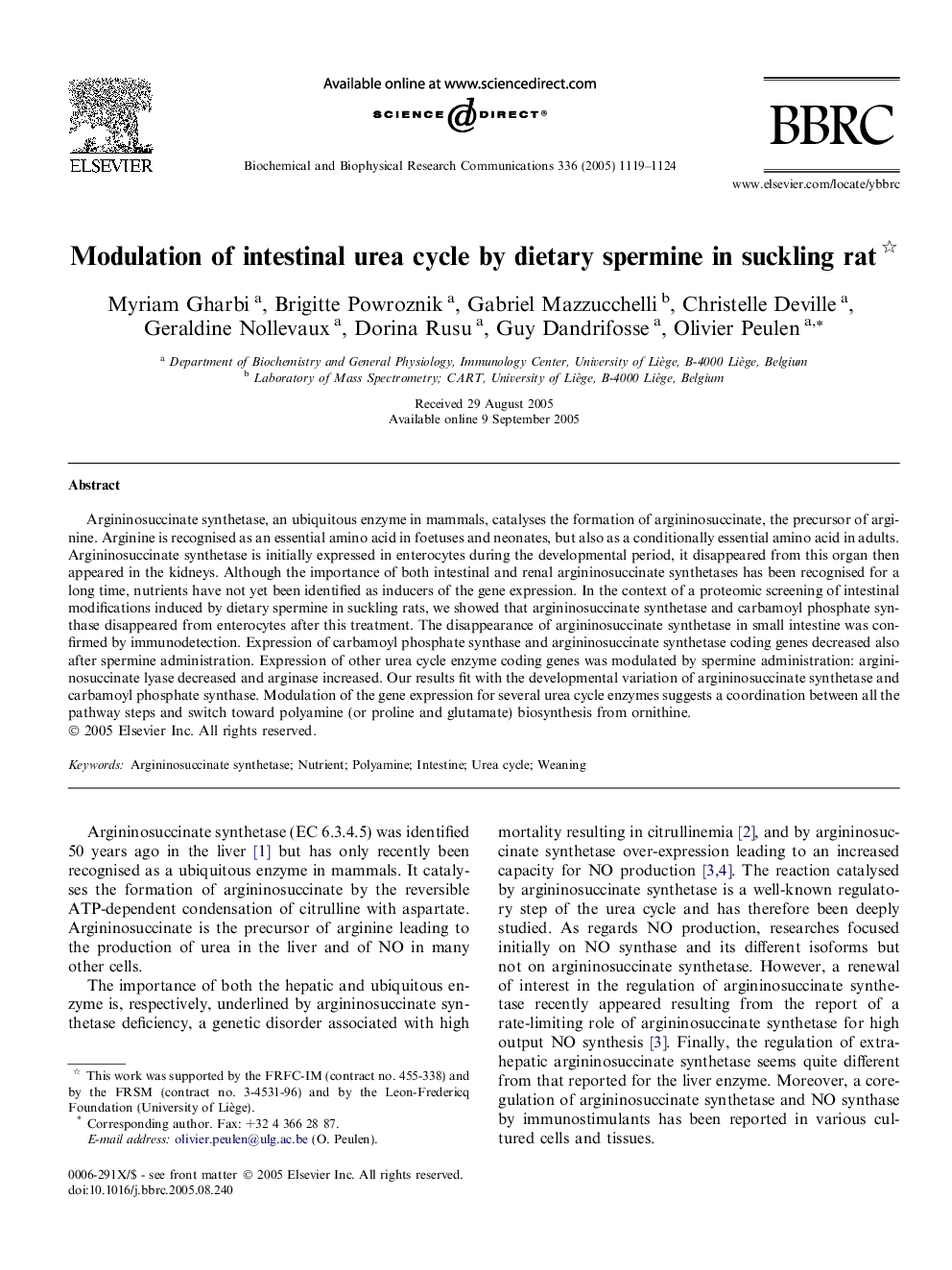 Modulation of intestinal urea cycle by dietary spermine in suckling rat