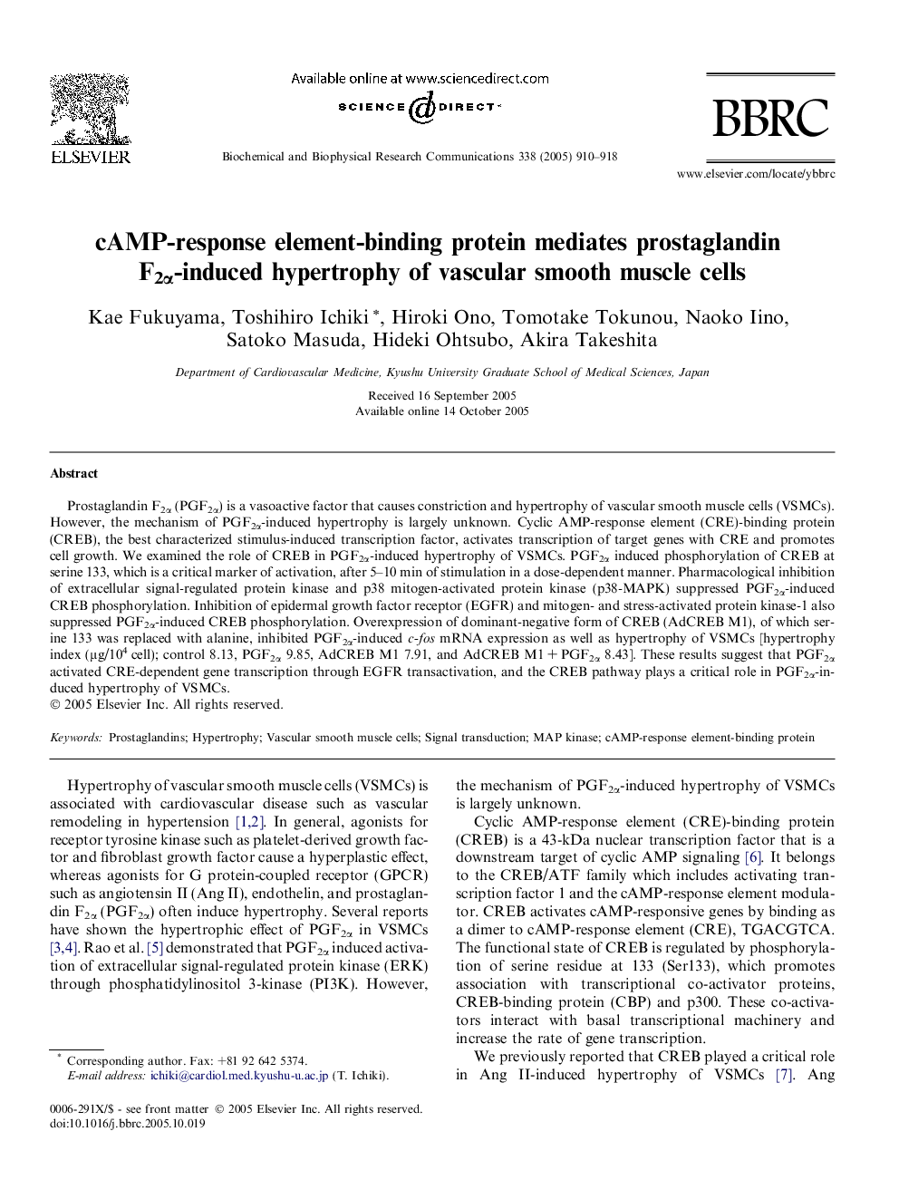 cAMP-response element-binding protein mediates prostaglandin F2Î±-induced hypertrophy of vascular smooth muscle cells