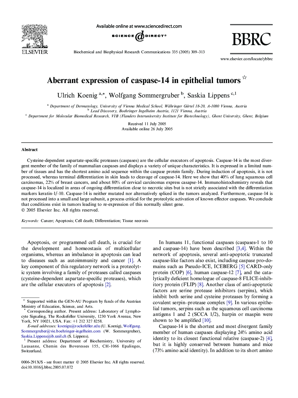 Aberrant expression of caspase-14 in epithelial tumors