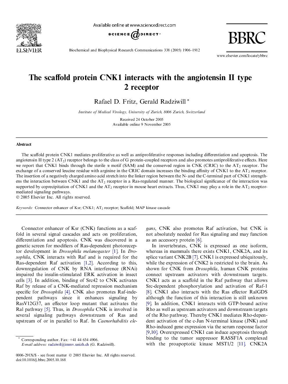 The scaffold protein CNK1 interacts with the angiotensin II type 2 receptor