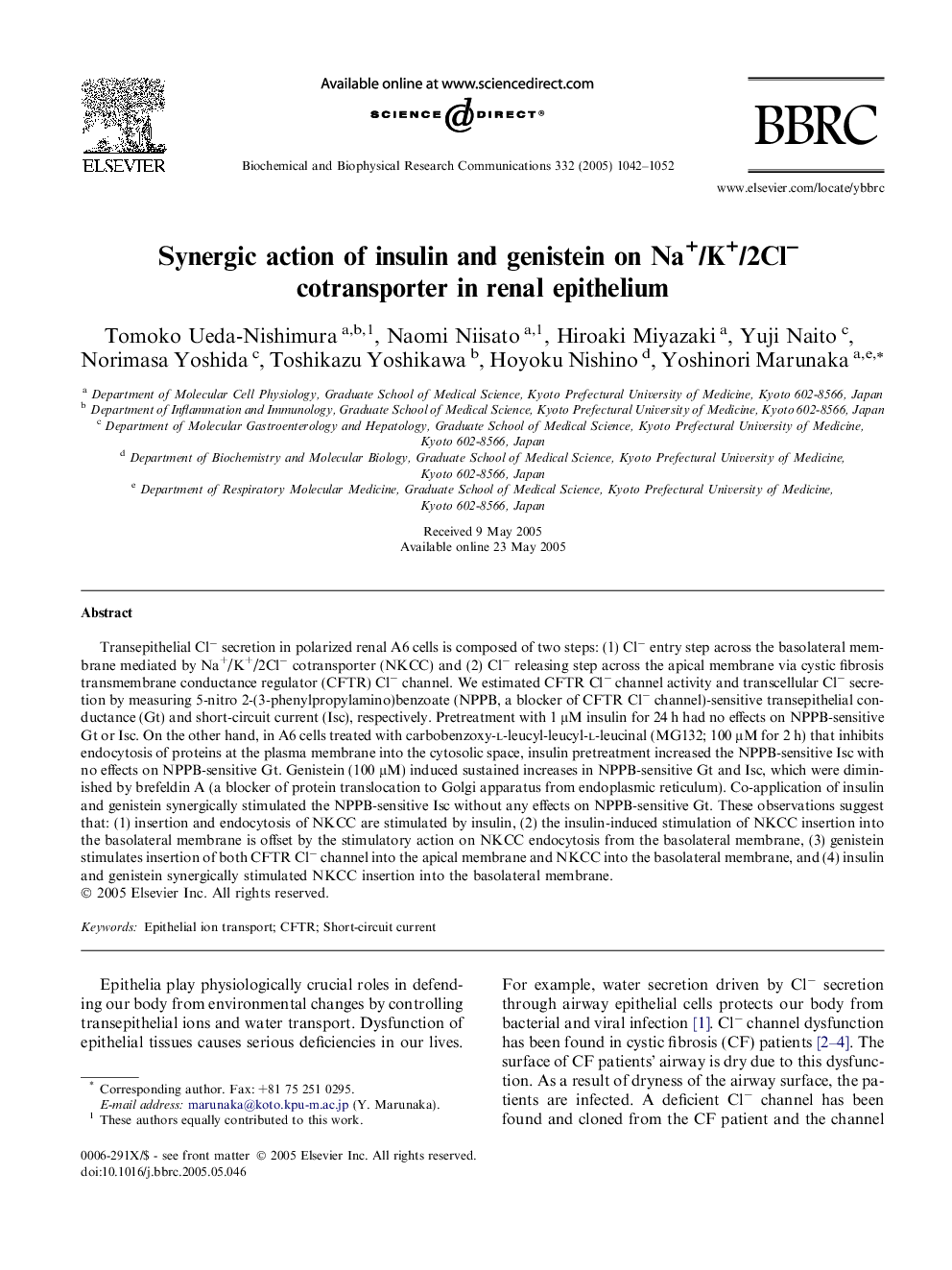 Synergic action of insulin and genistein on Na+/K+/2Cl â cotransporter in renal epithelium