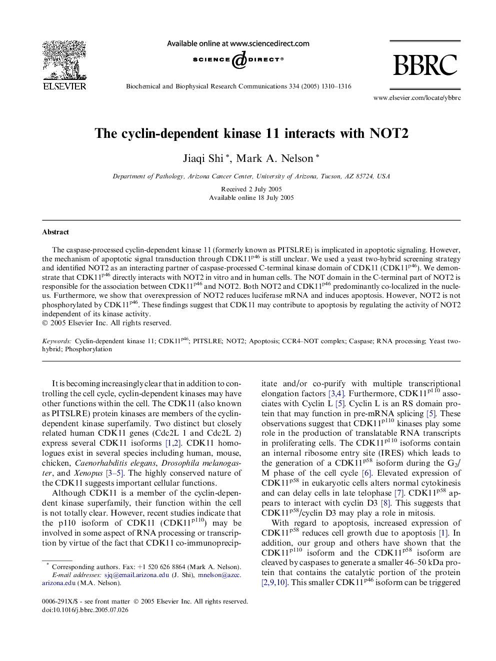 The cyclin-dependent kinase 11 interacts with NOT2