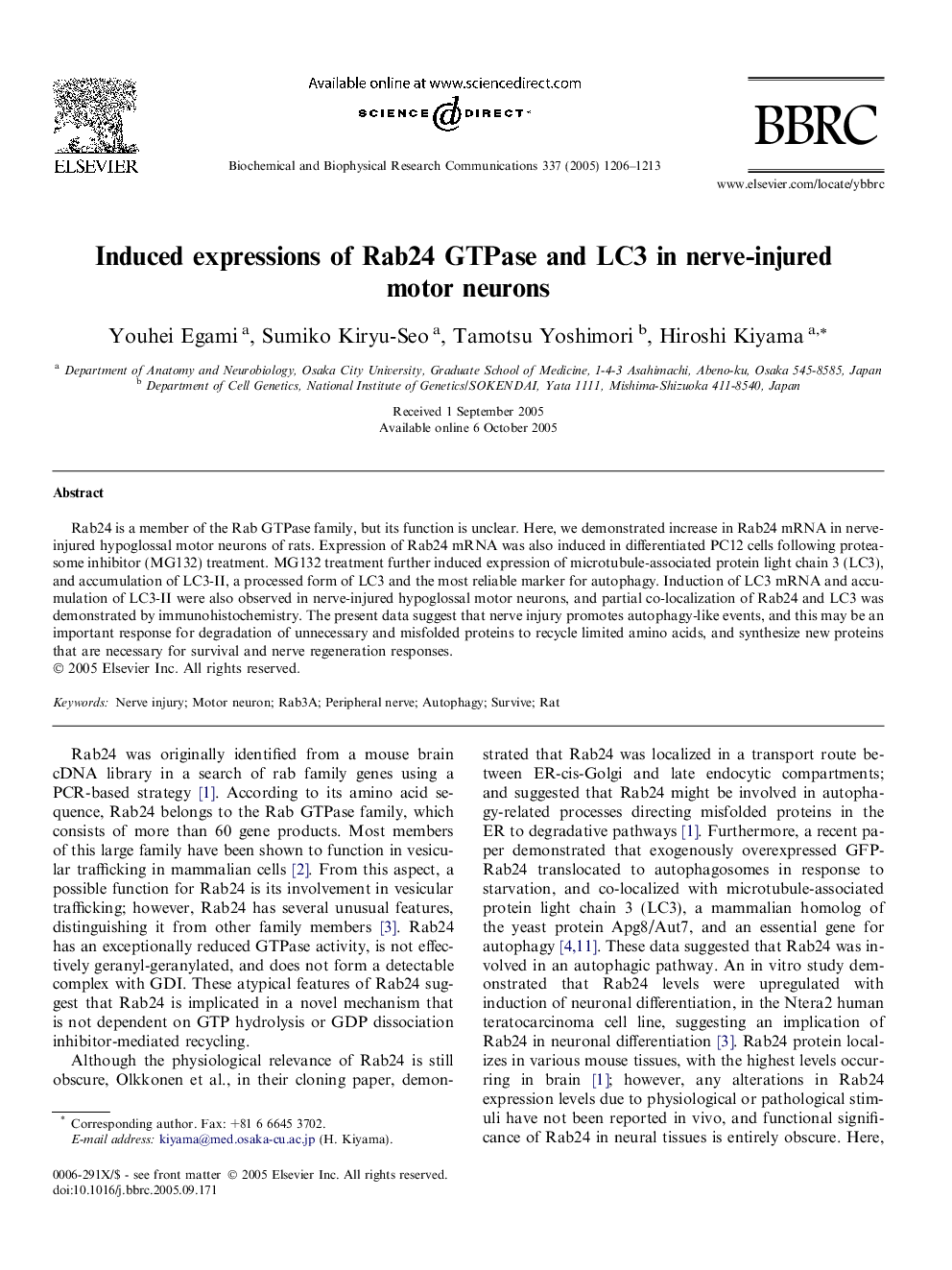 Induced expressions of Rab24 GTPase and LC3 in nerve-injured motor neurons