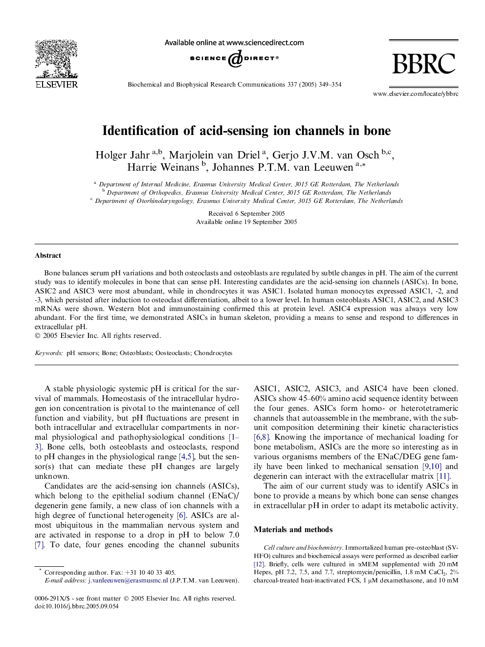 Identification of acid-sensing ion channels in bone