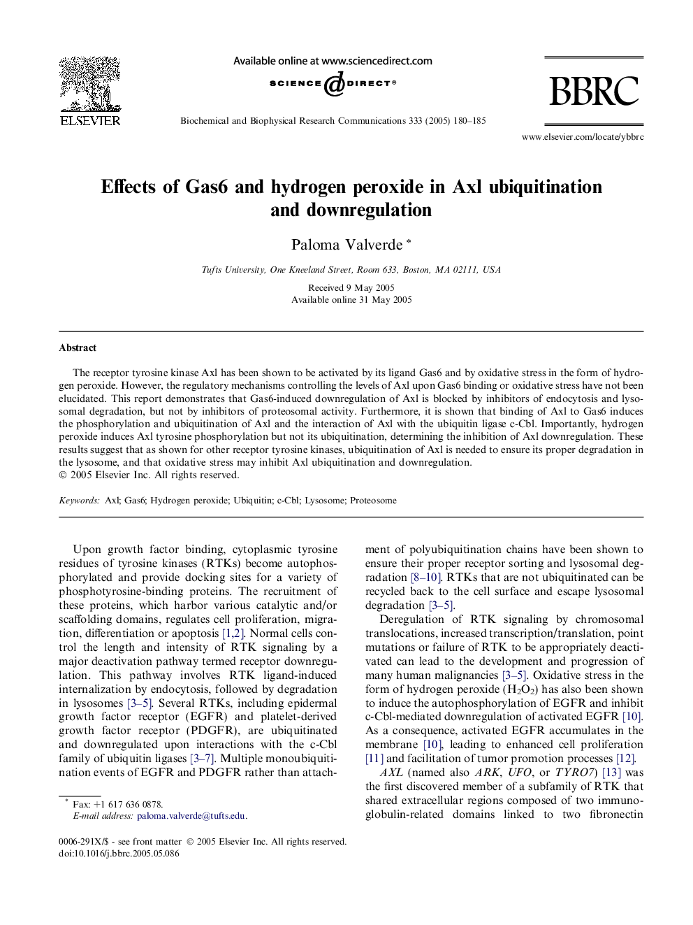 Effects of Gas6 and hydrogen peroxide in Axl ubiquitination and downregulation