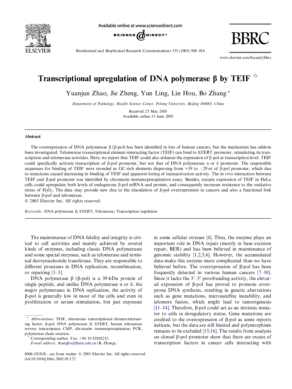 Transcriptional upregulation of DNA polymerase Î² by TEIF