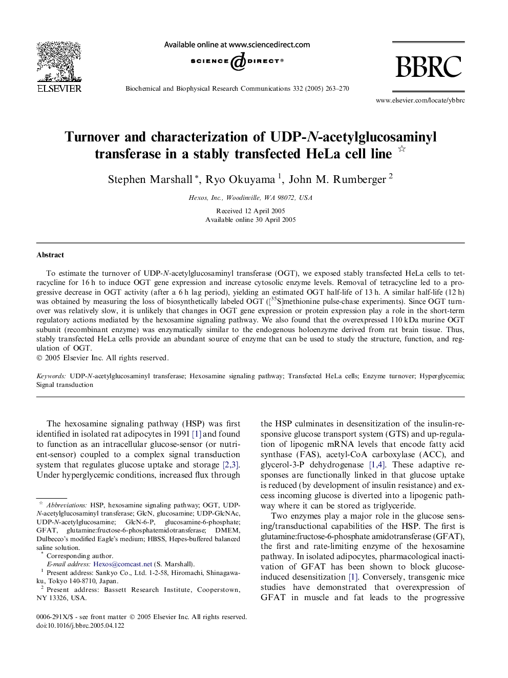 Turnover and characterization of UDP-N-acetylglucosaminyl transferase in a stably transfected HeLa cell line