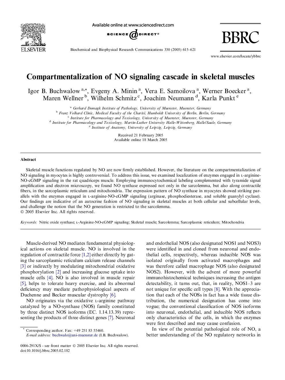 Compartmentalization of NO signaling cascade in skeletal muscles