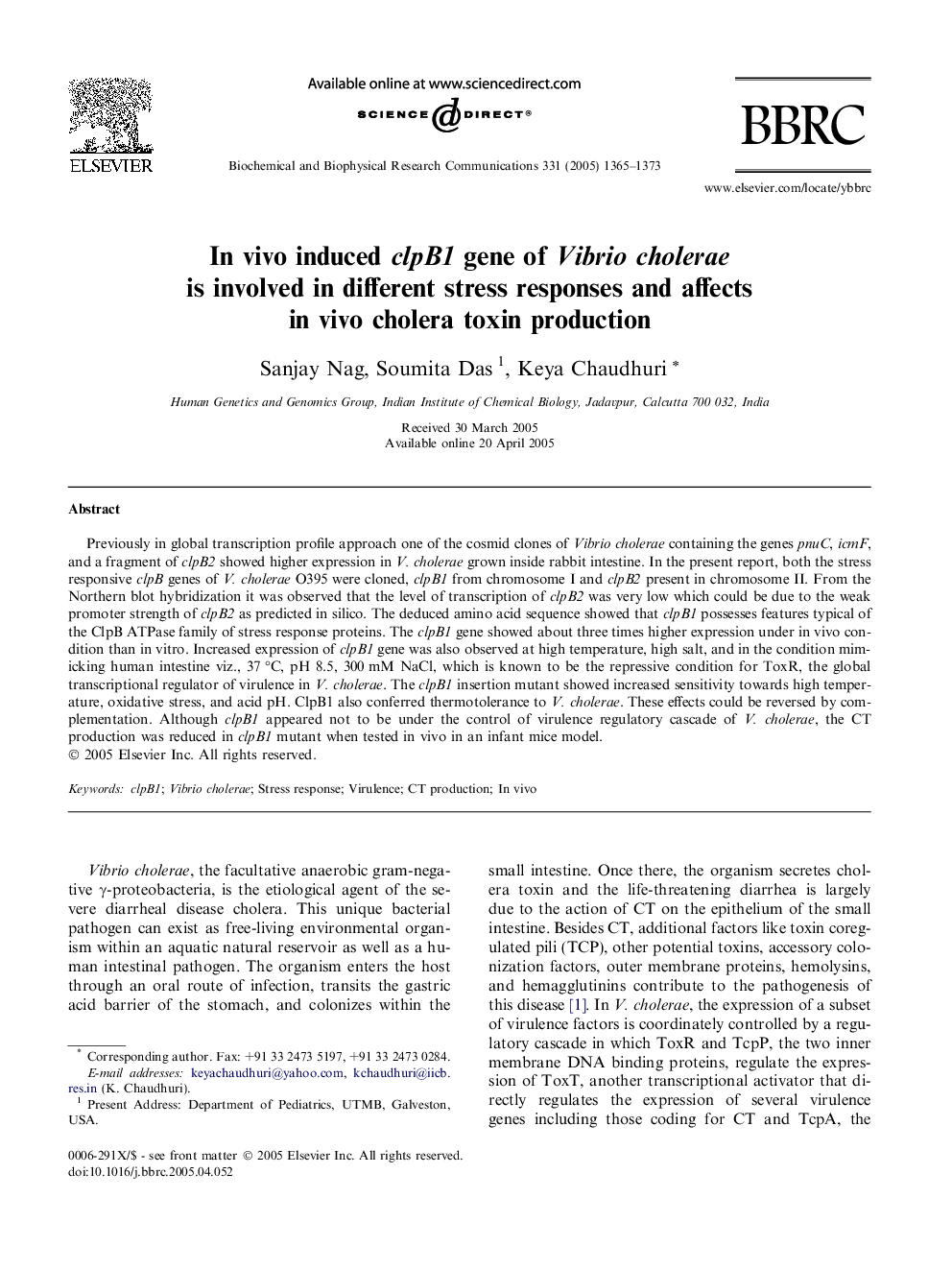 In vivo induced clpB1 gene of Vibrio cholerae is involved in different stress responses and affects in vivo cholera toxin production