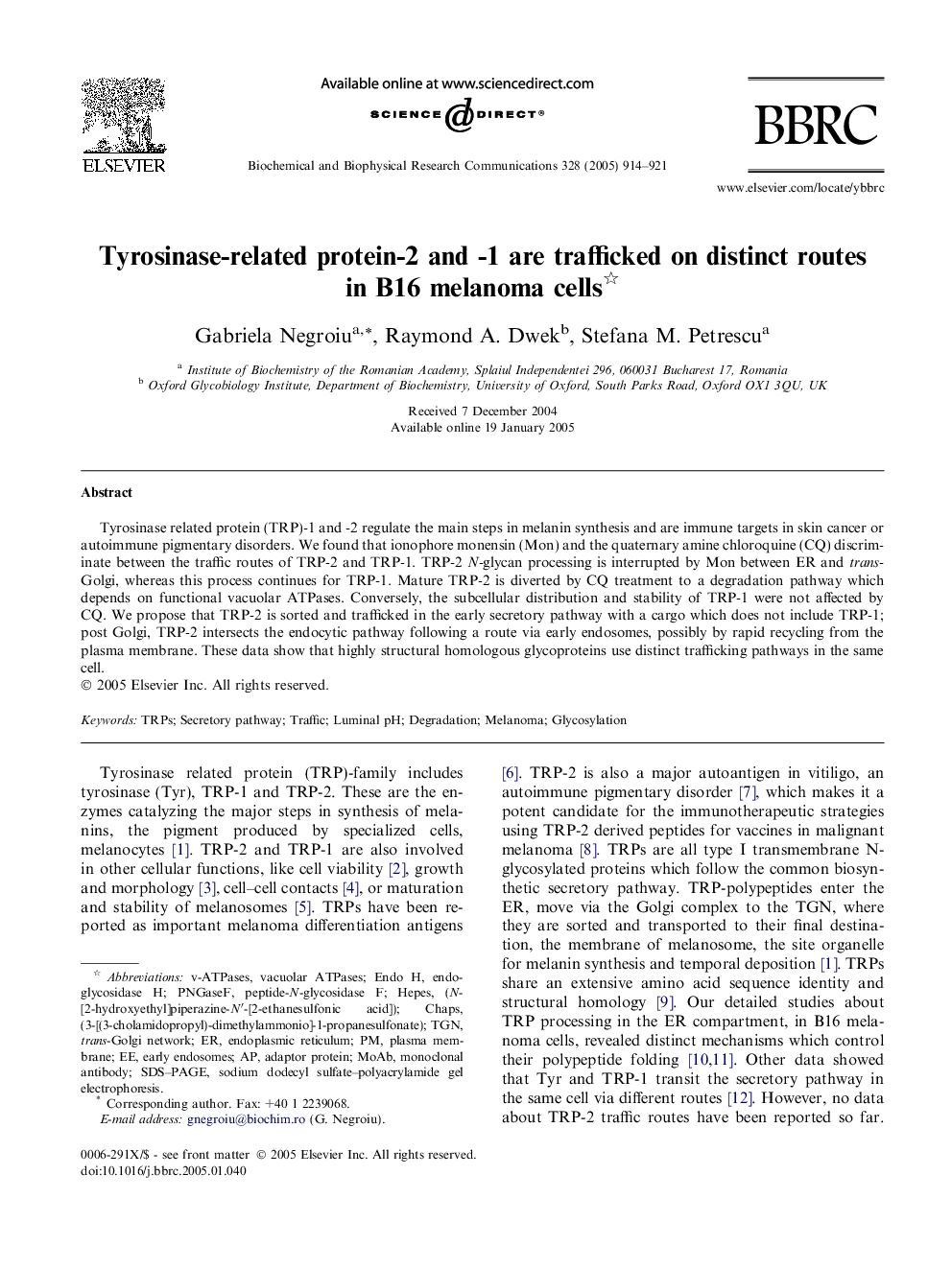 Tyrosinase-related protein-2 and -1 are trafficked on distinct routes in B16 melanoma cells