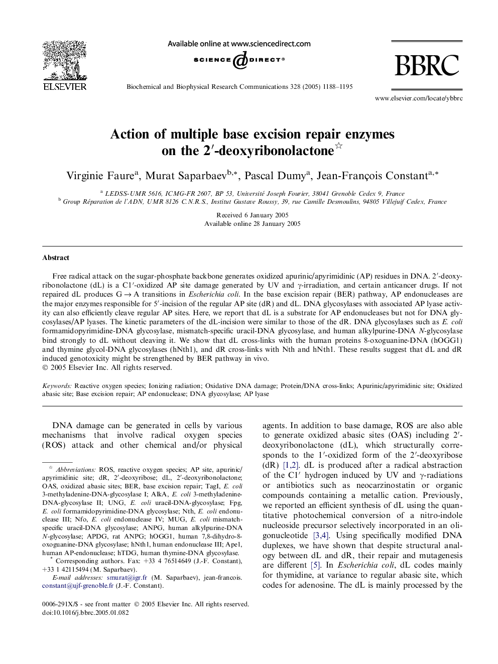 Action of multiple base excision repair enzymes on the 2â²-deoxyribonolactone