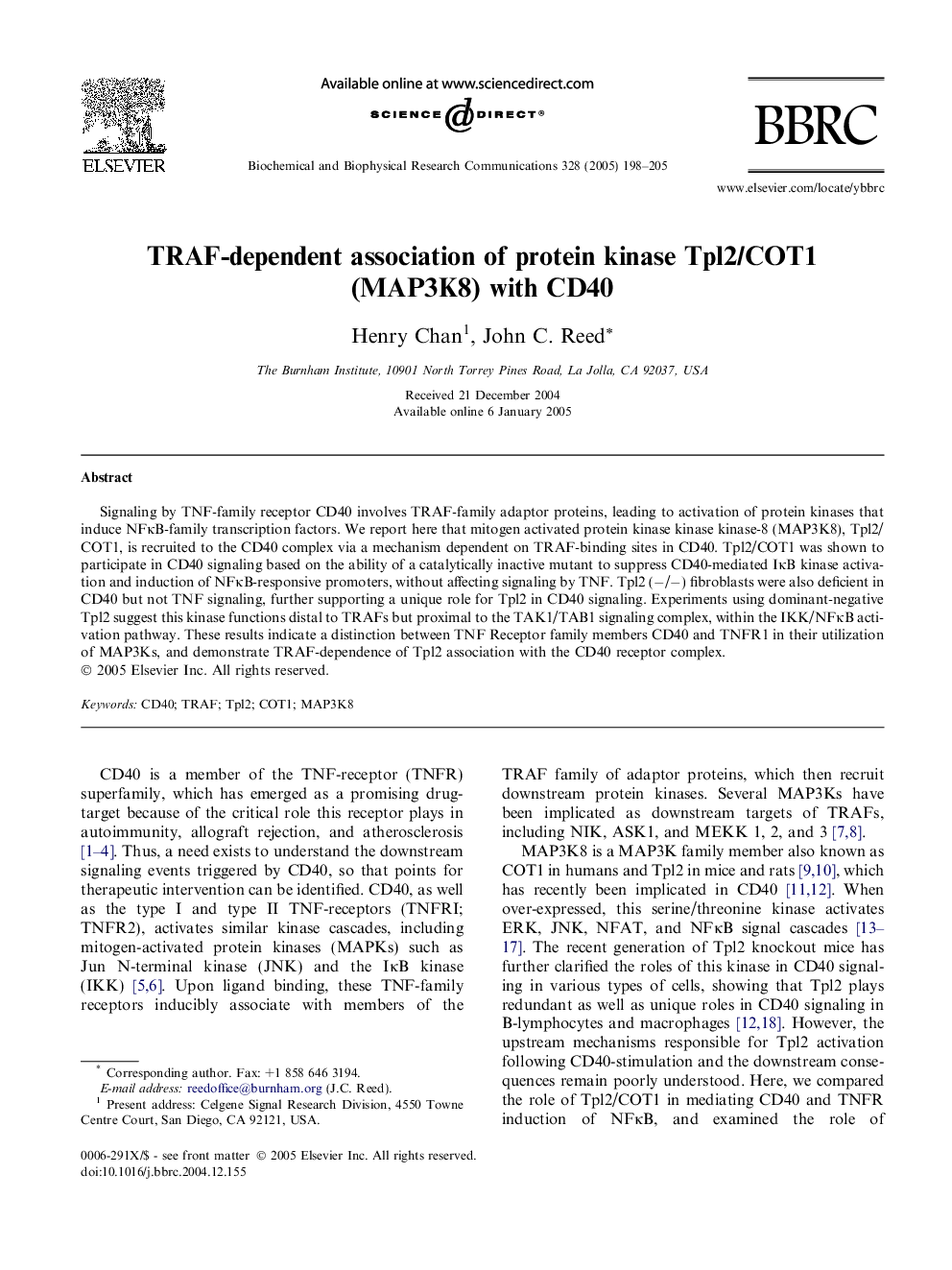 TRAF-dependent association of protein kinase Tpl2/COT1 (MAP3K8) with CD40