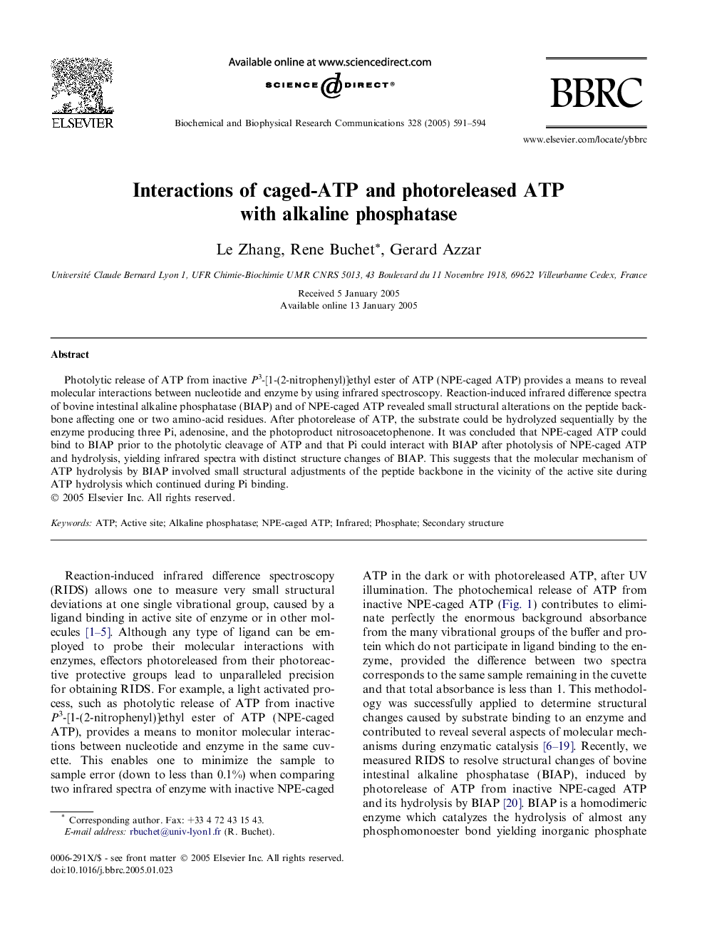 Interactions of caged-ATP and photoreleased ATP with alkaline phosphatase