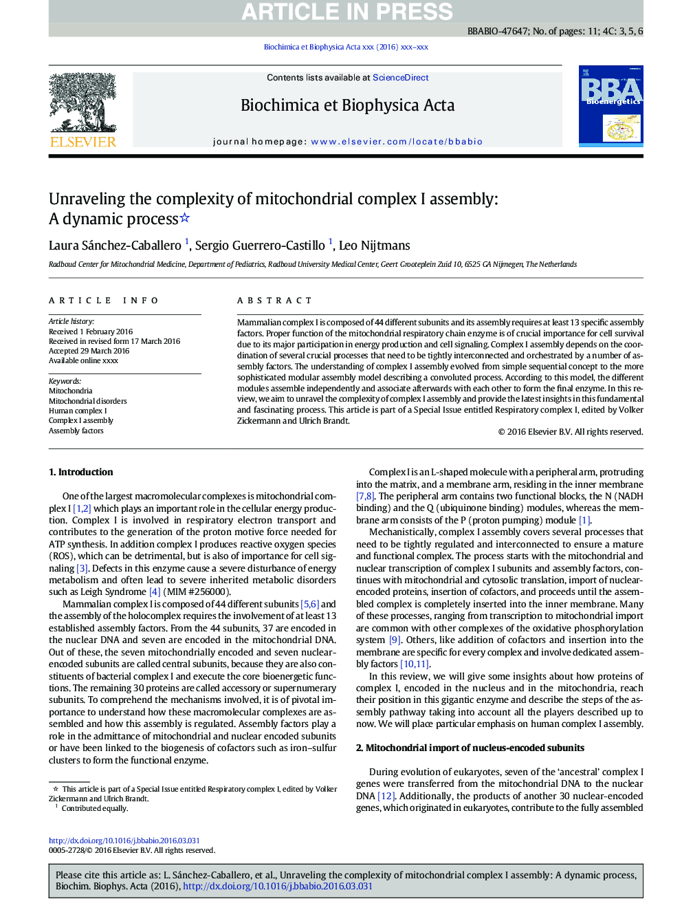 Unraveling the complexity of mitochondrial complex I assembly: A dynamic process