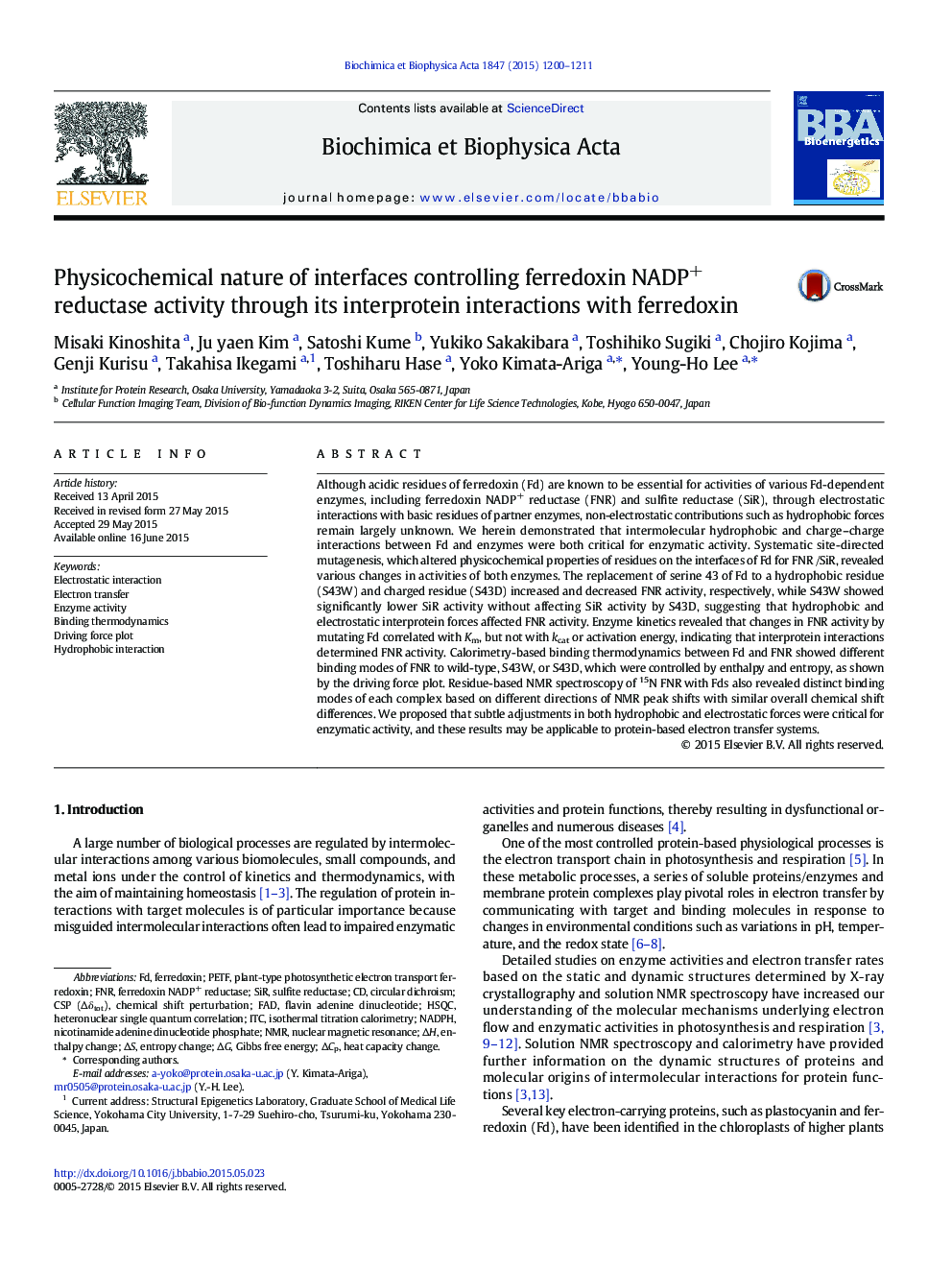 Physicochemical nature of interfaces controlling ferredoxin NADP+ reductase activity through its interprotein interactions with ferredoxin