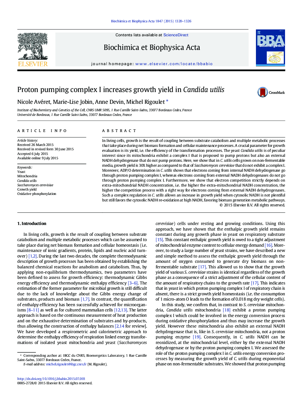 Proton pumping complex I increases growth yield in Candida utilis