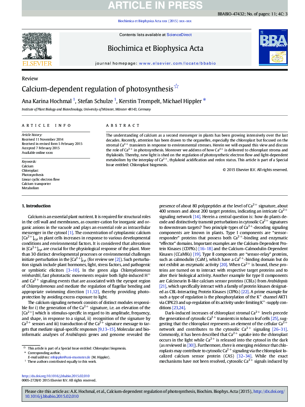 Calcium-dependent regulation of photosynthesis