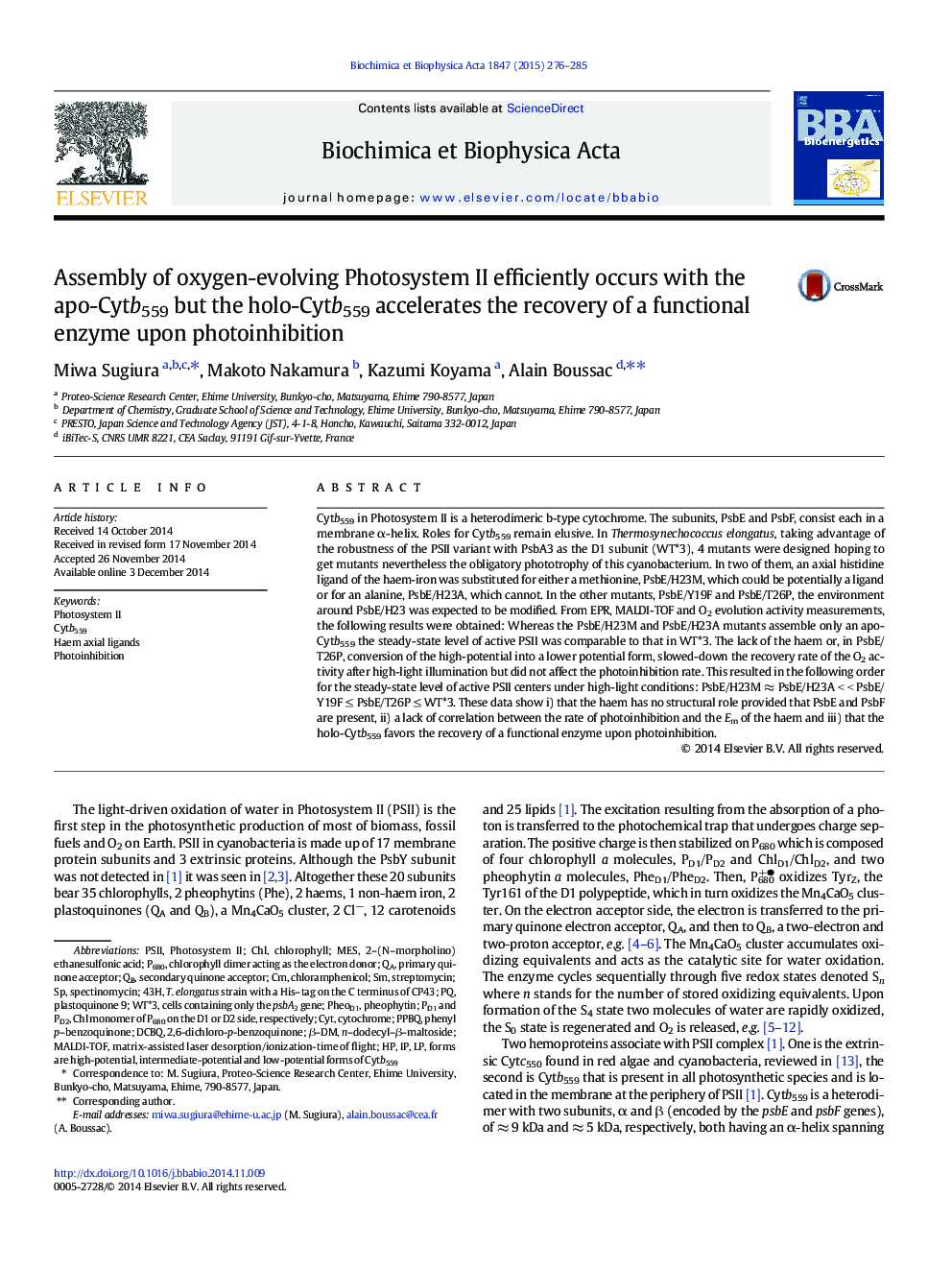 Assembly of oxygen-evolving Photosystem II efficiently occurs with the apo-Cytb559 but the holo-Cytb559 accelerates the recovery of a functional enzyme upon photoinhibition